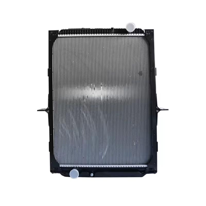 Aksesori i motorit Radiator DZ91125328
