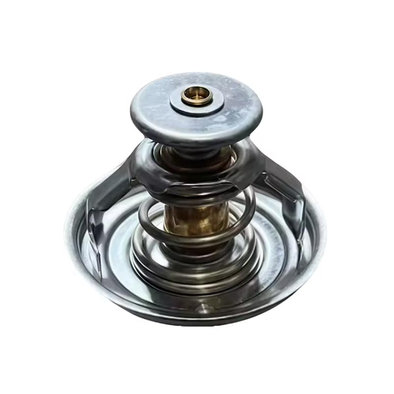 Termostat i motorit të kamionit 1000837830